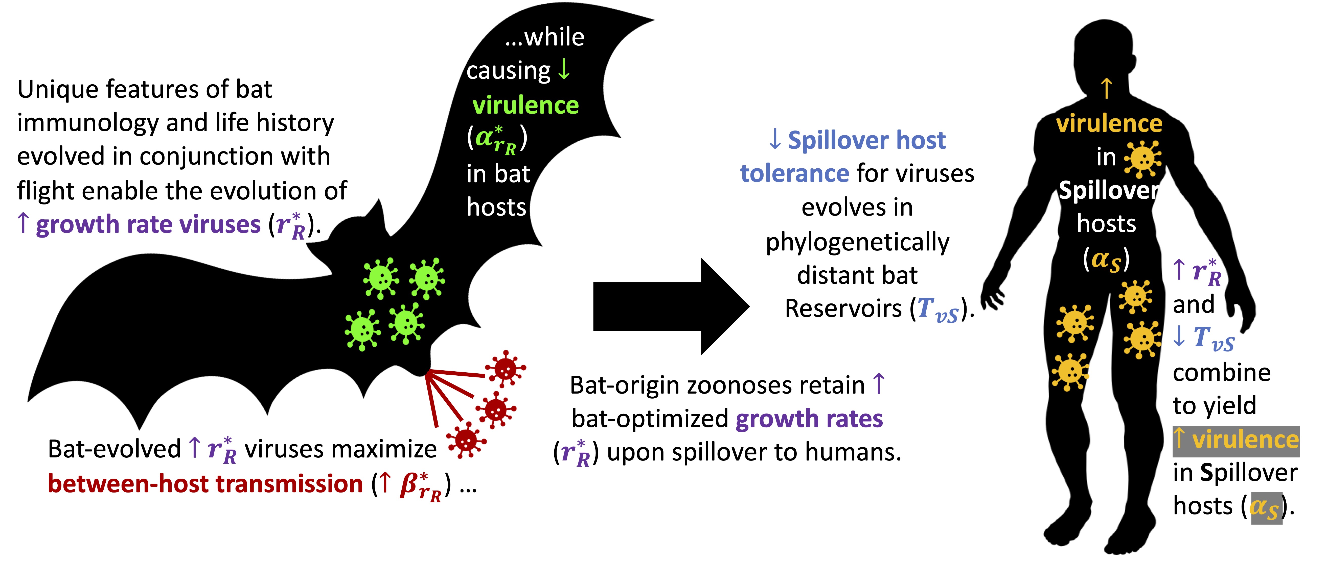 Cover image from Brook et al. 2023 PLoS Biology article.