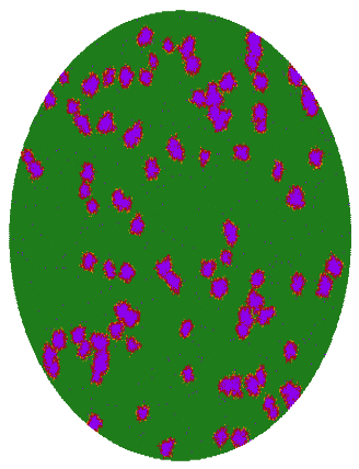 Diagram of a bat cell infection model.