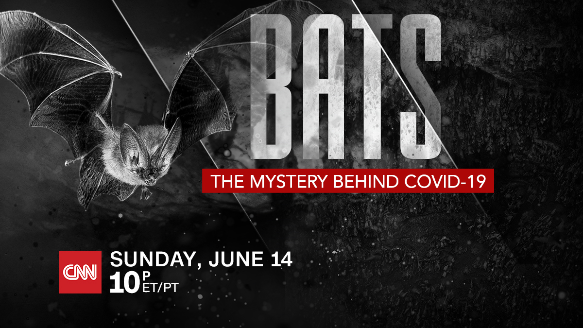 Screenshot from CNN special ‘Bats: The Mystery Behind COVID-19.’