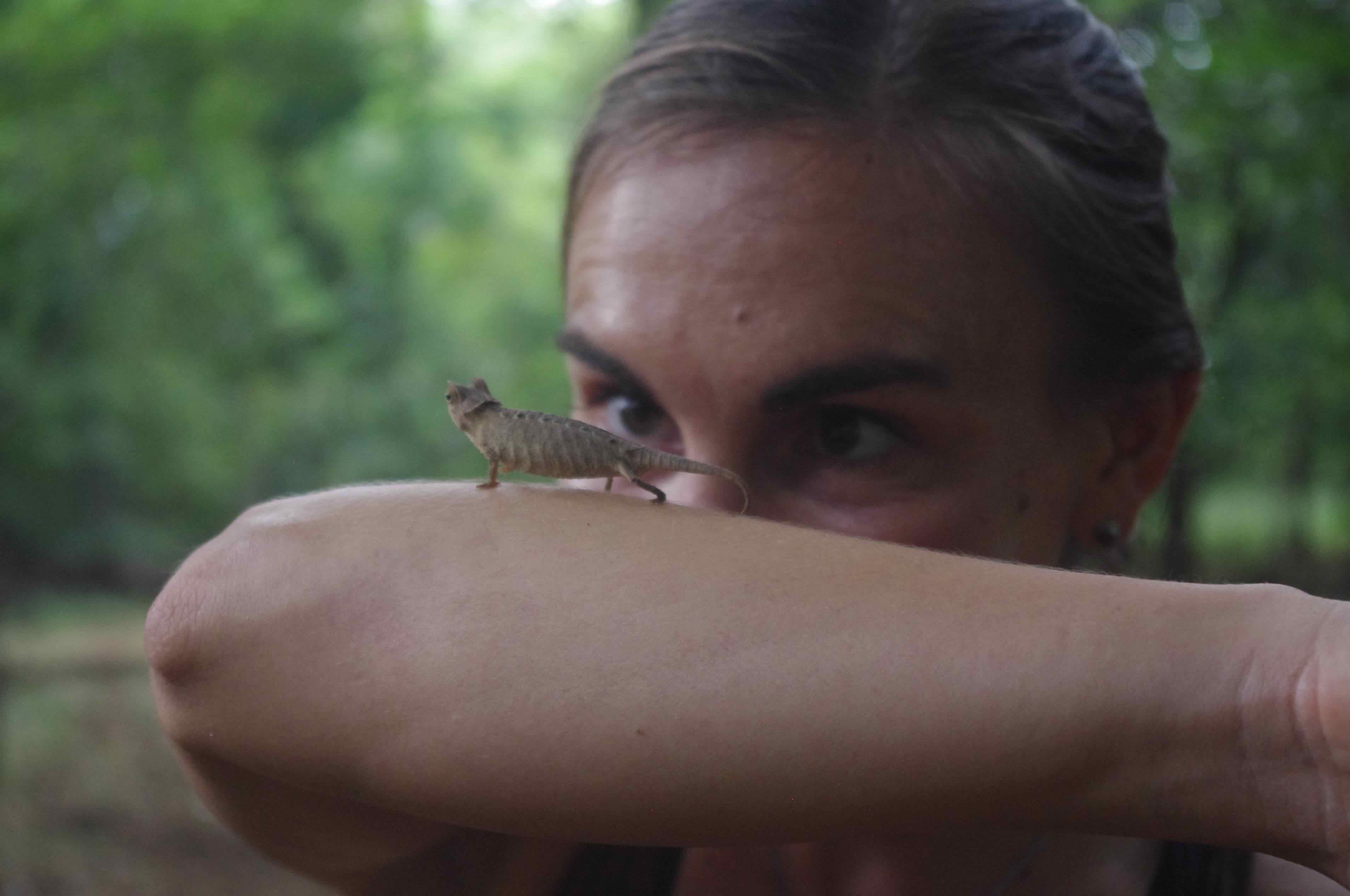 Cara Brook with a chameleon during fieldwork.