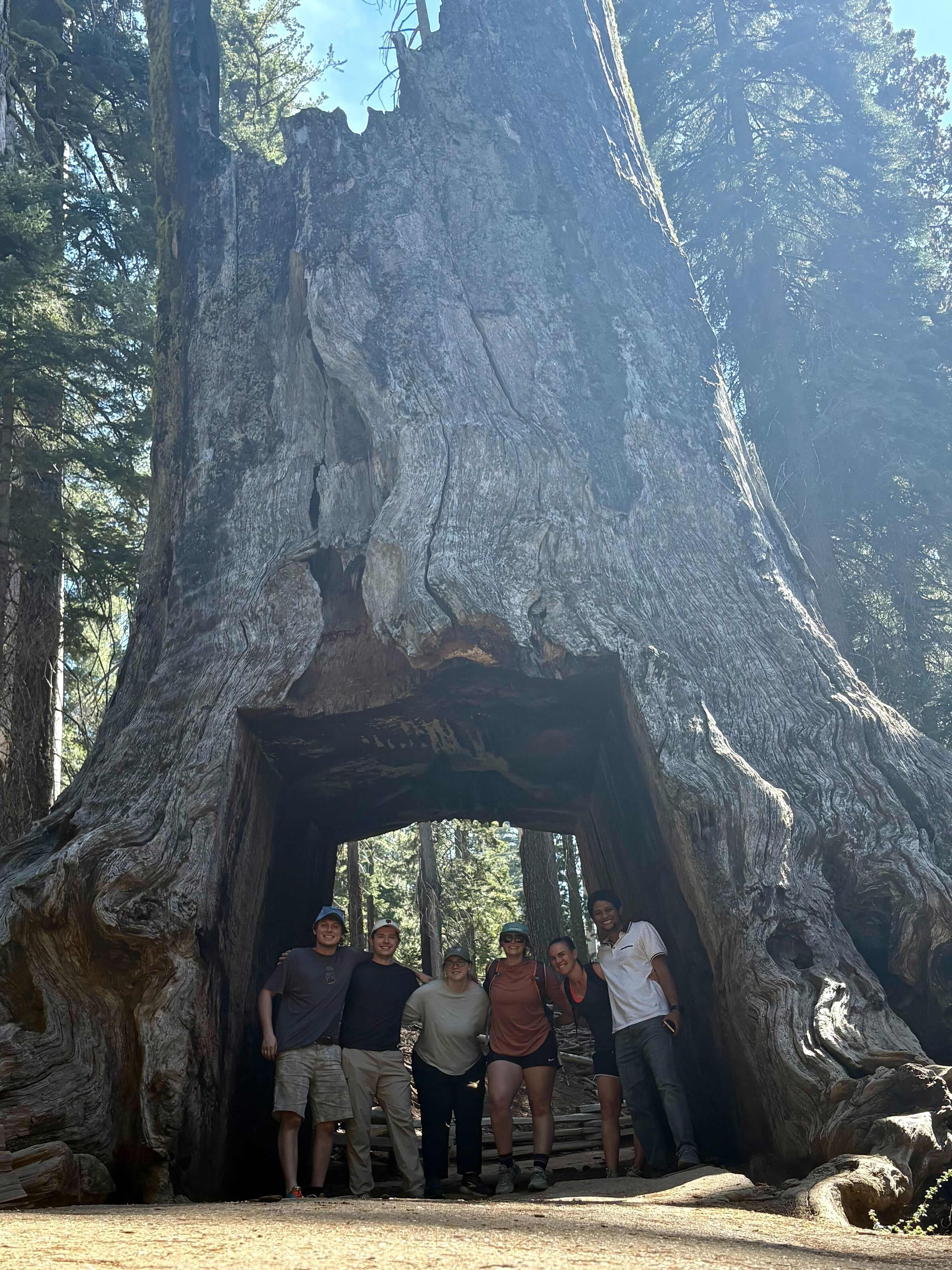 Brook Lab members posing inside the hollowed-out base of a giant sequoia at Tuolumne Grove.