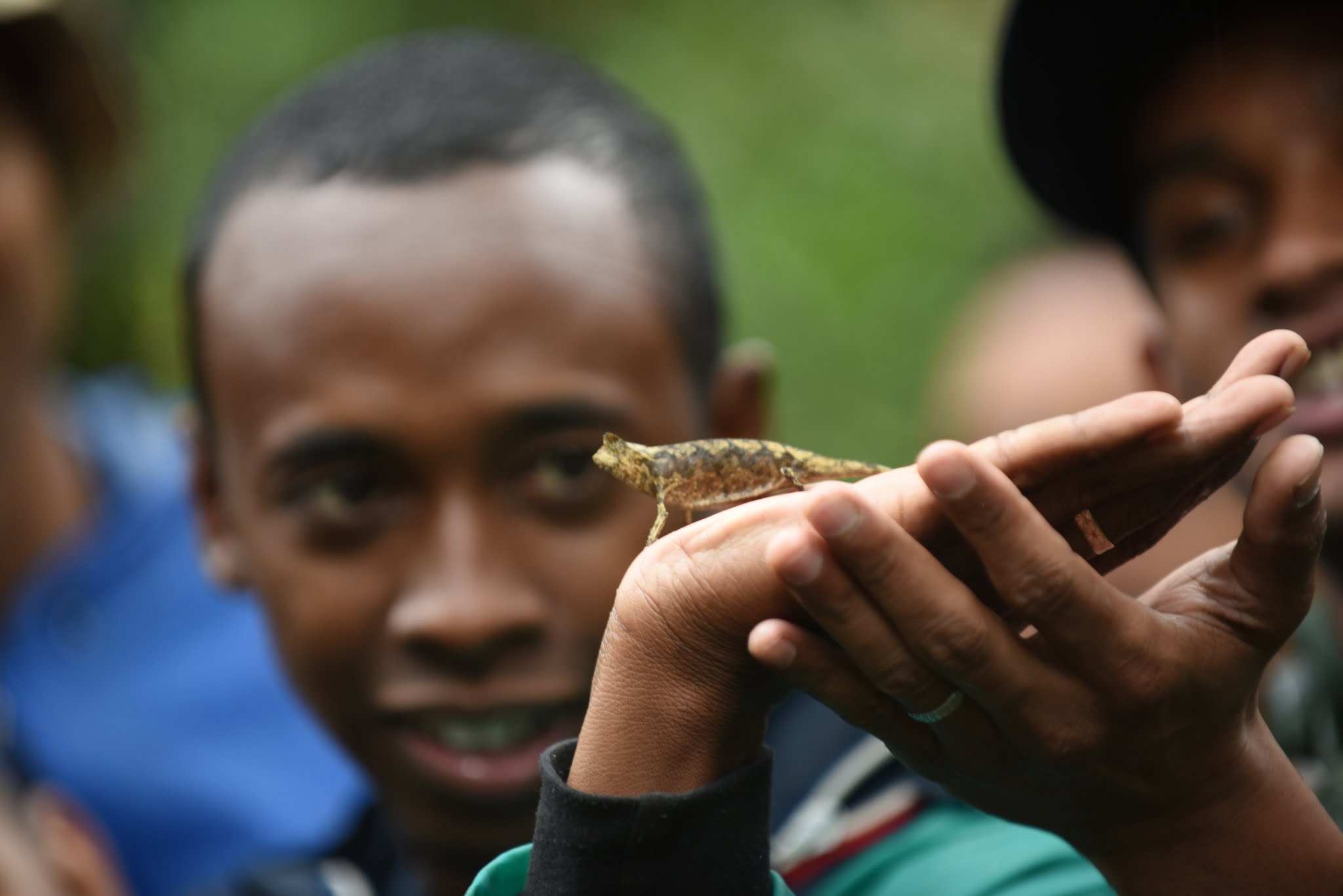 Tsilavo Rasolonjatovo holding a chameleon in Madagascar.