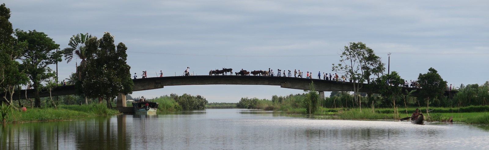 Wooden footbridge at a Madagascar field site.